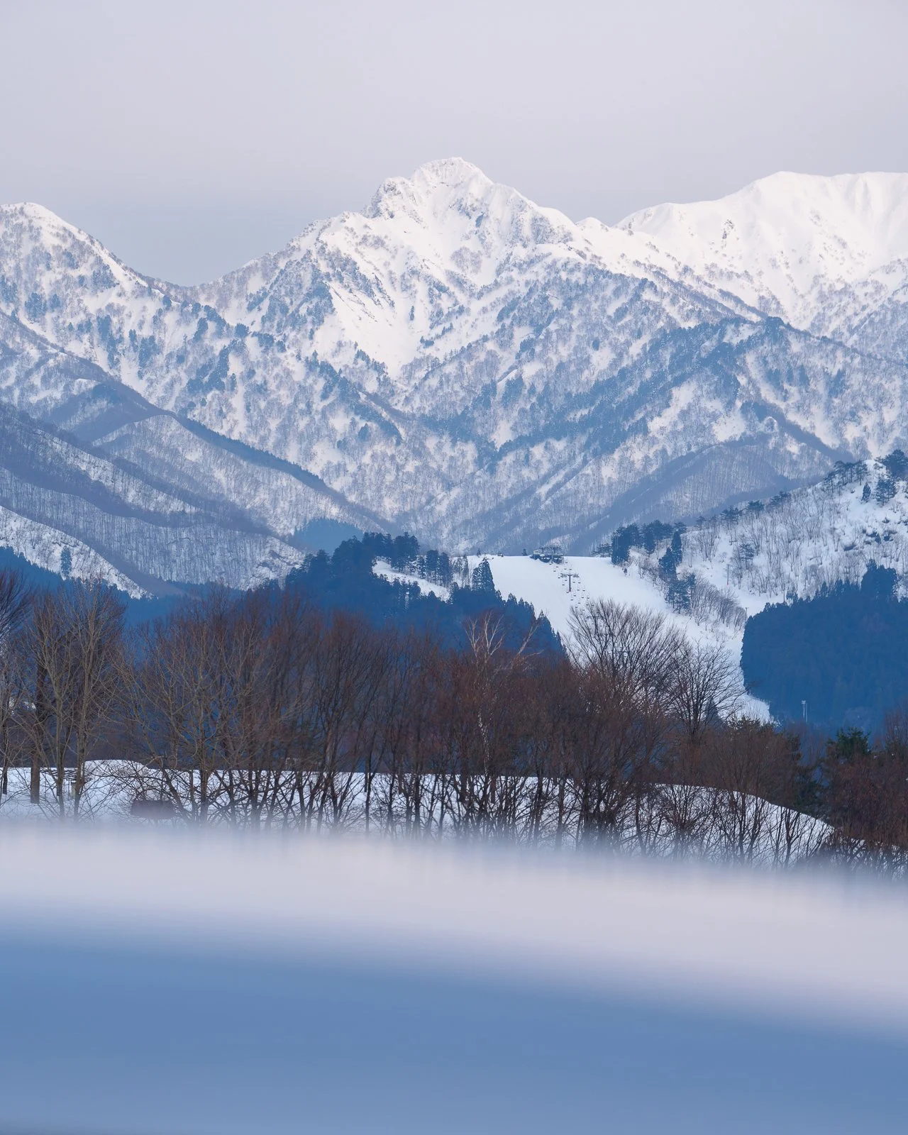 Opening of “Contours of Change” 