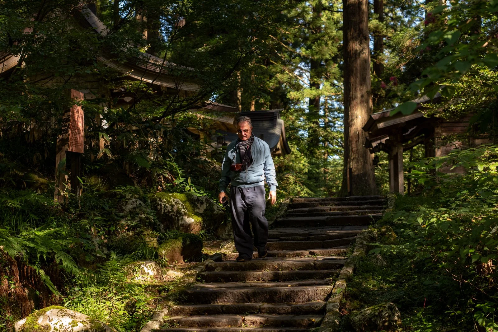 Riding with the Poets 