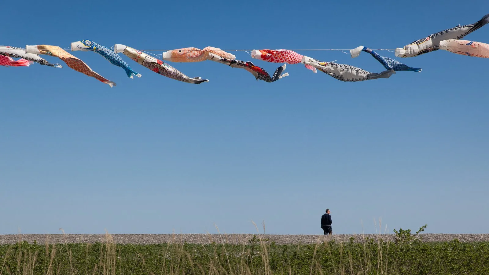 A memory carried by the wind