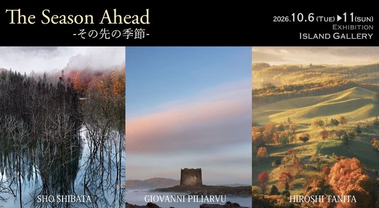 The Season Ahead — その先の季節‍ 