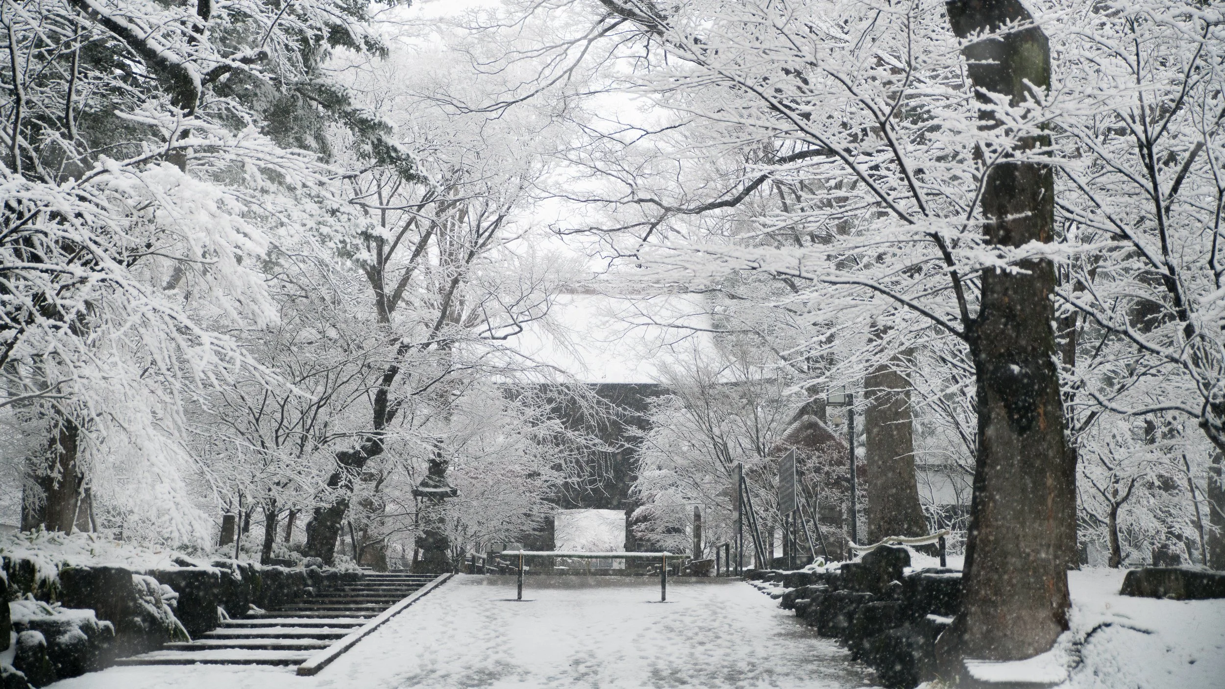 When Tokyo Turns White