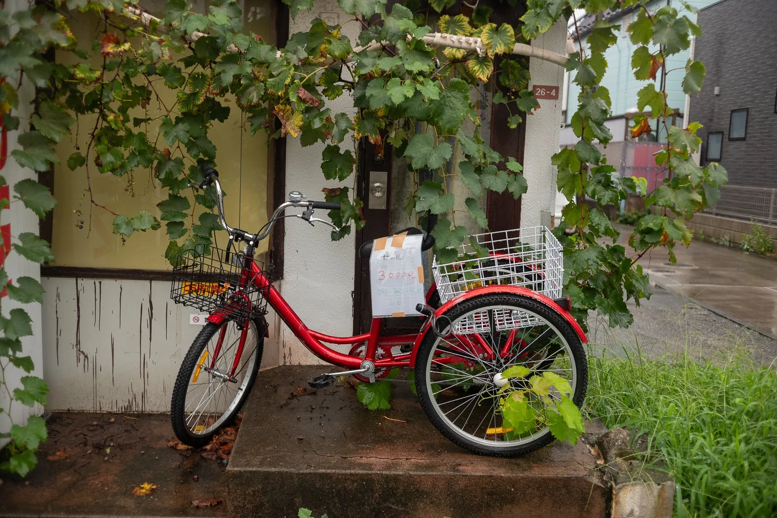 Red three-wheeled bicycle parked beneath dense green vines on a wet residential street in Tokyo.
