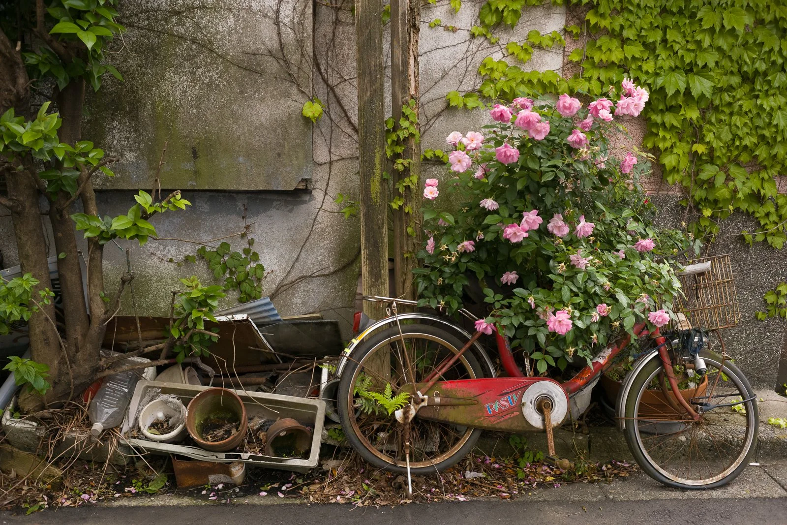 Yokohama Leica exhibition (1).jpg