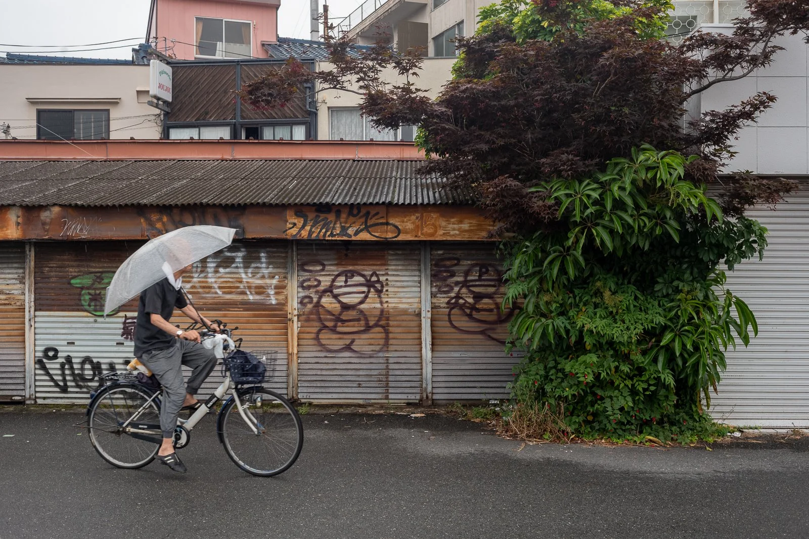 Nagoya Leica Exhibition (1).jpg