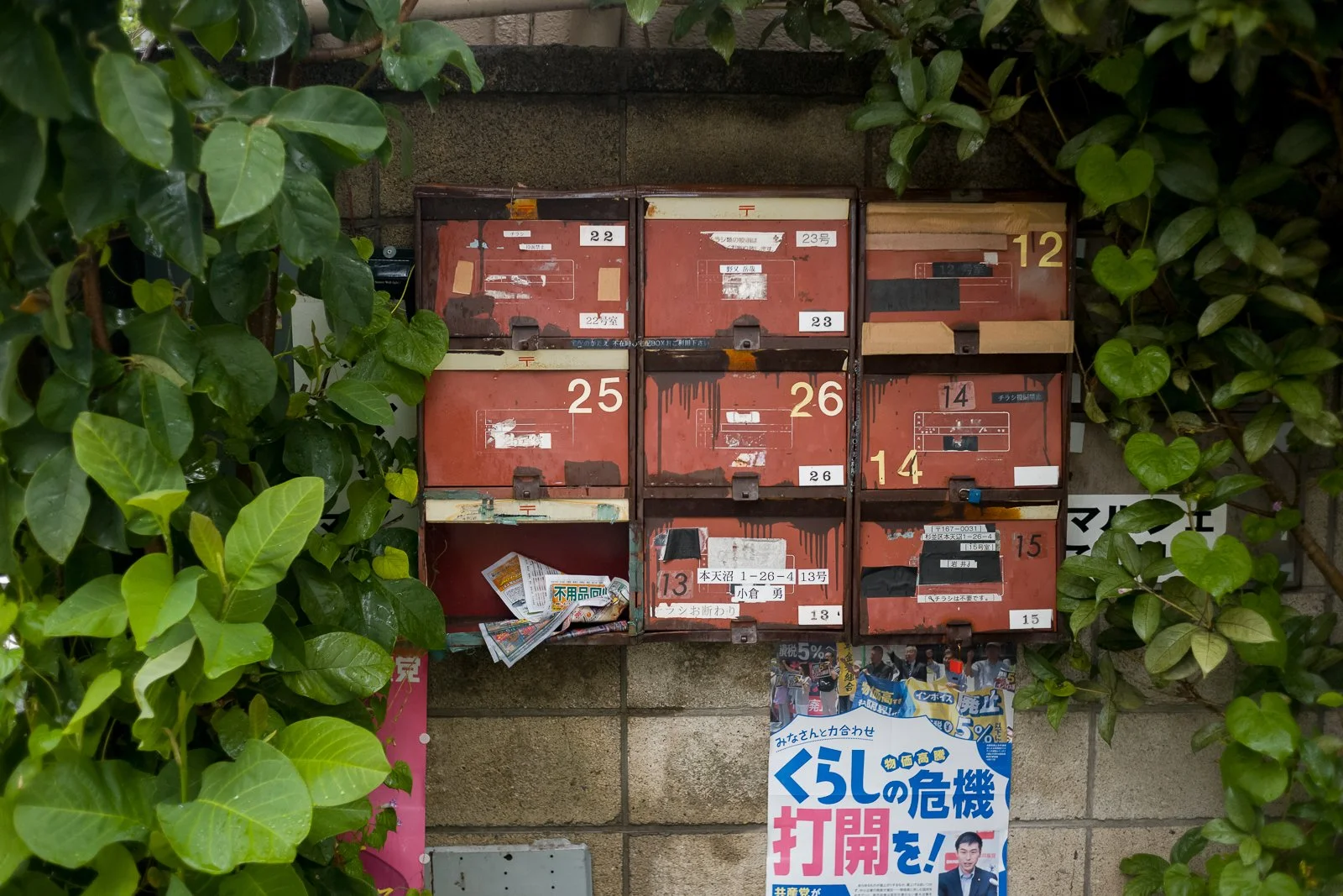 Weathered red mailboxes mounted on a concrete wall and surrounded by thick green leaves in Tokyo.