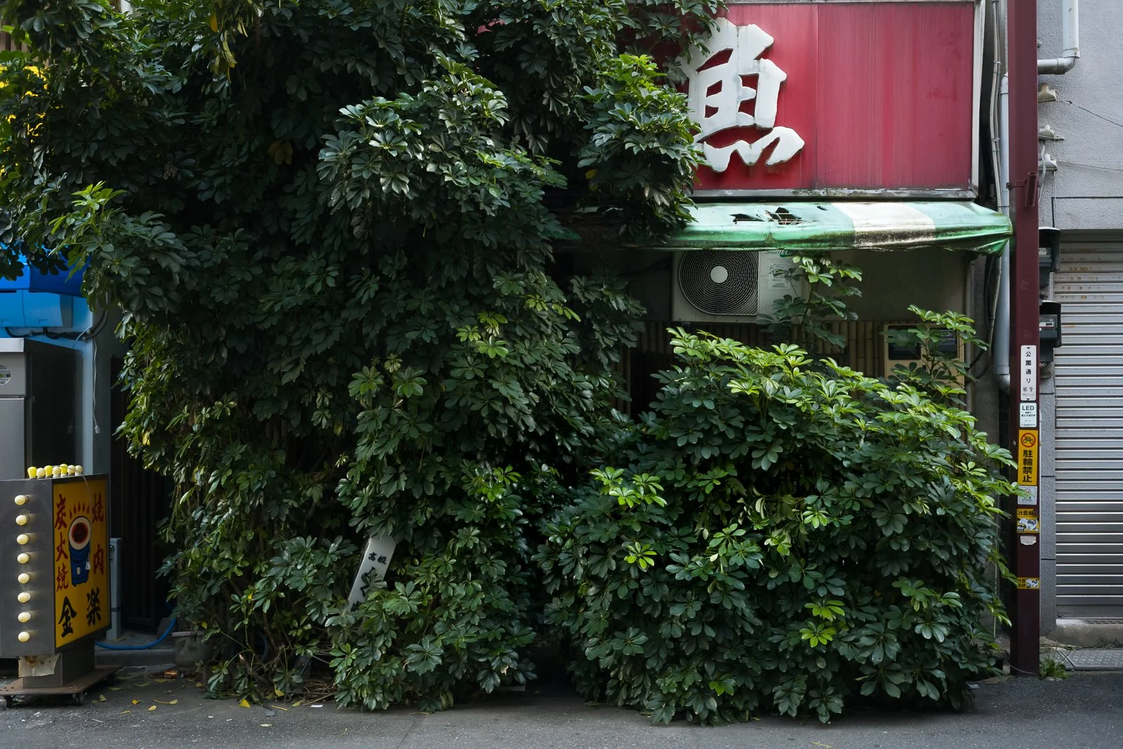 Yokohama Leica exhibition (5).jpg