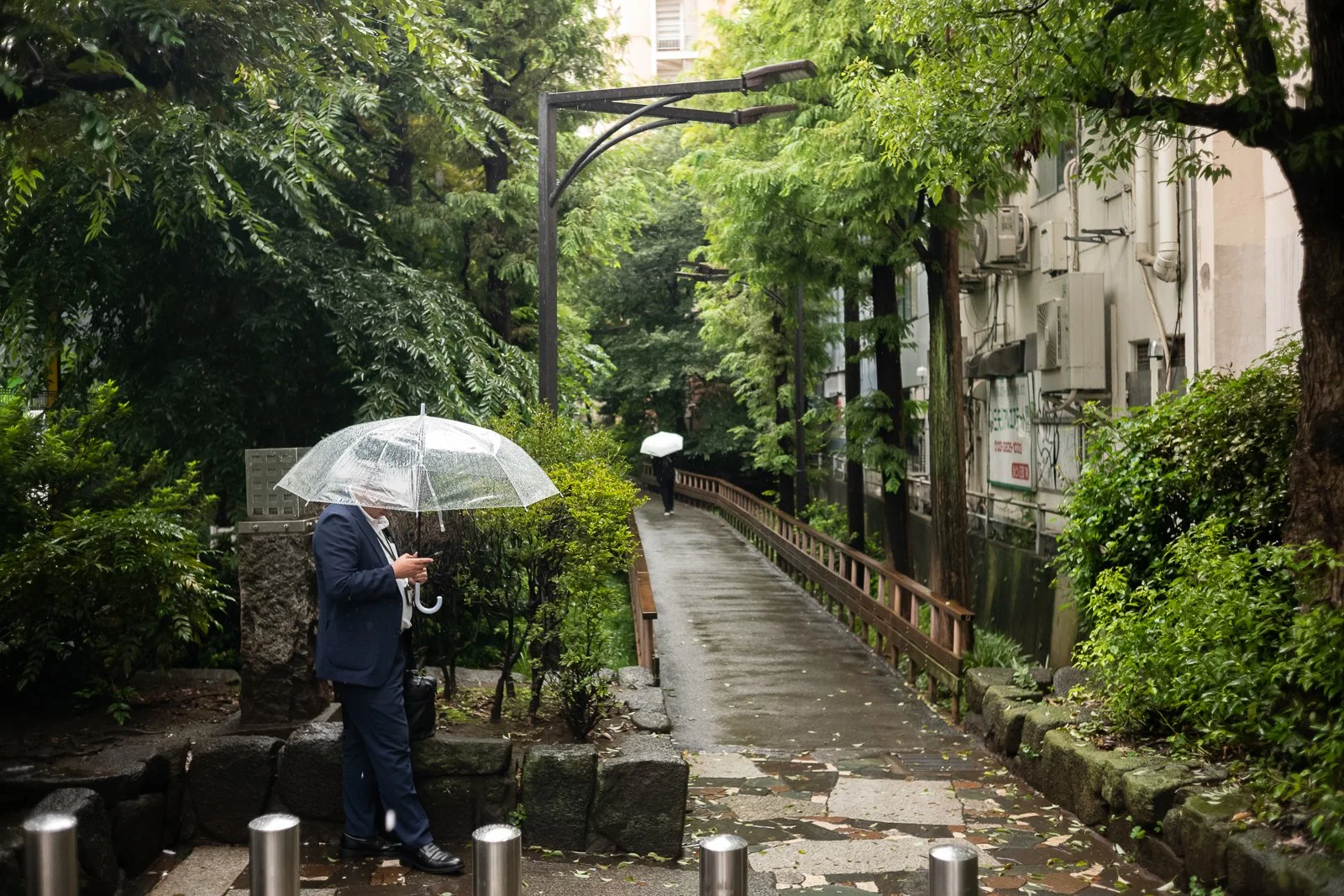 Man holding a transparent umbrella at the entrance to a narrow, rain-soaked path surrounded by greenery in Tokyo.