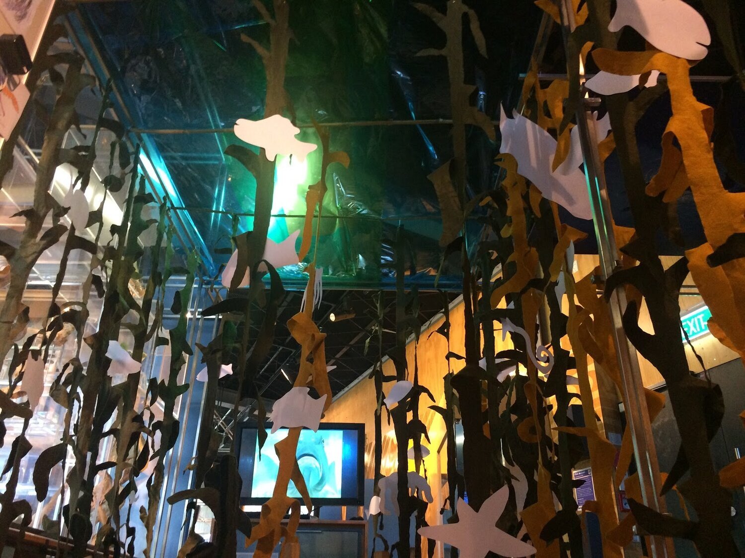 IMG_1984_1600 (3).jpeg