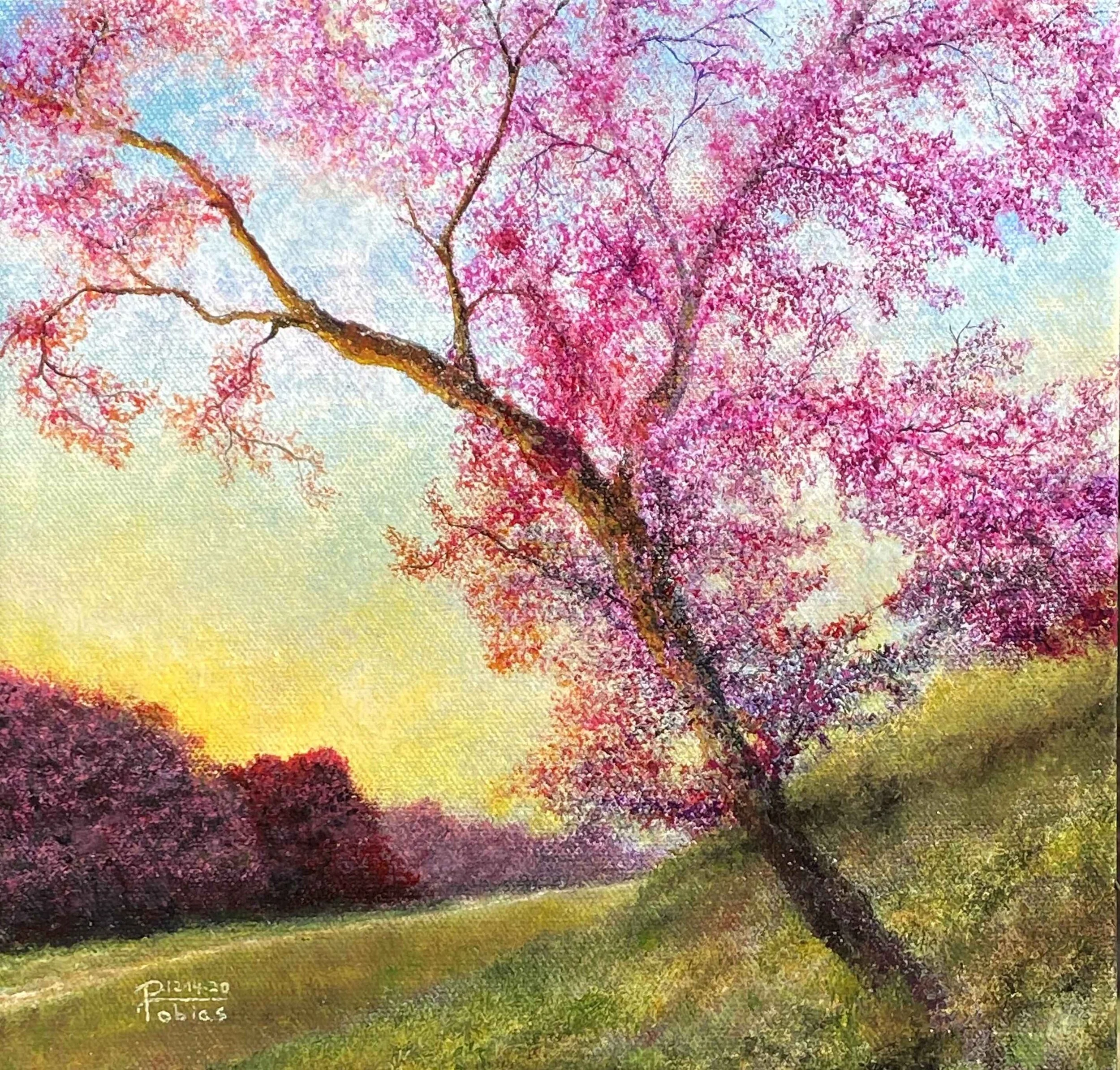 "Nanjing Plum Tree Sunrise" (10"x10"), Oil on Canvas - Sold