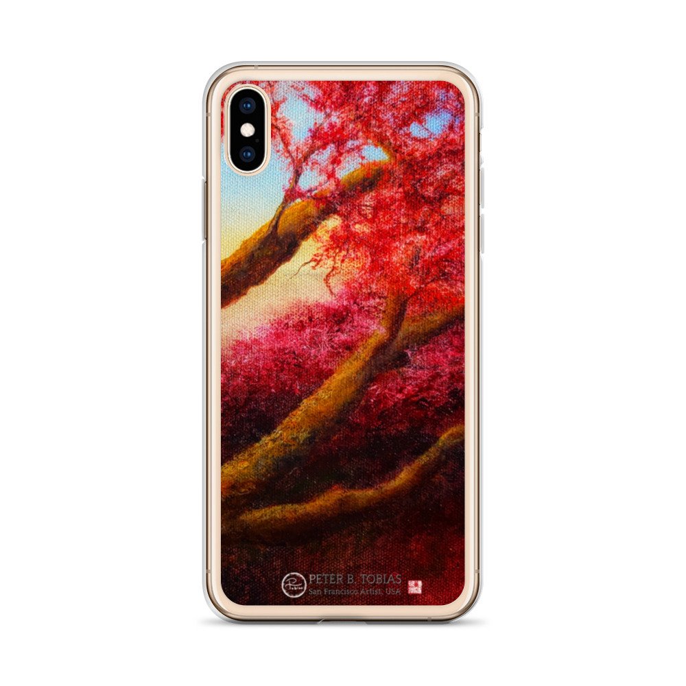 iphone-case-iphone-xs-max-case-on-phone-61b248351c611.jpg