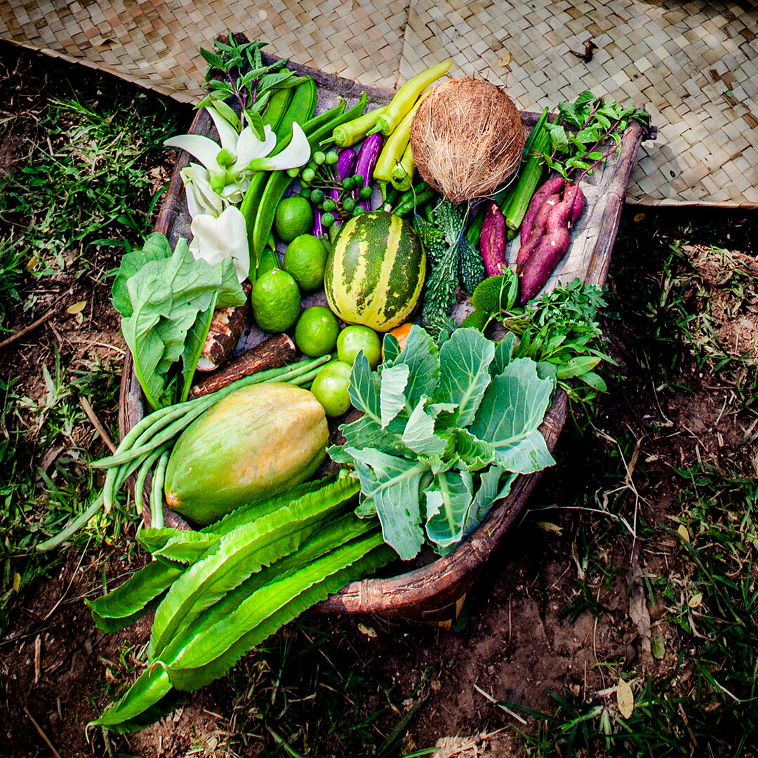 Organic Produce - Back of Beyond, Dehigaha Ela, Sri Lanka