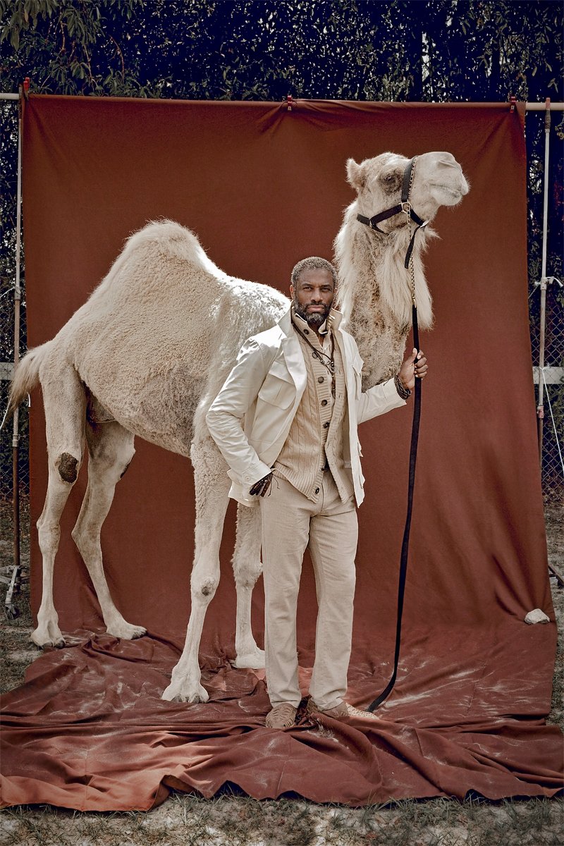 navid color camel .jpg