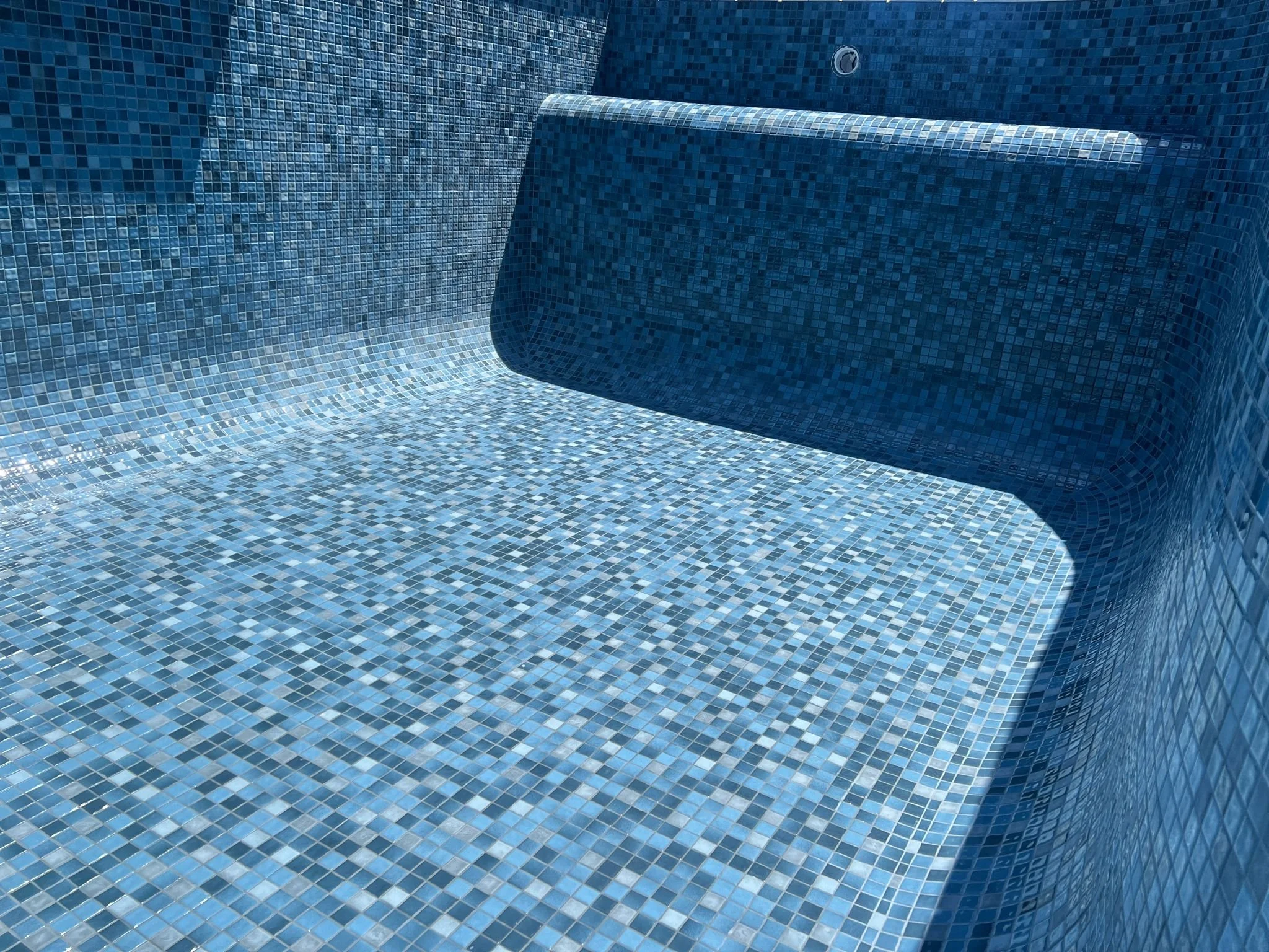 94a7a2ca-8d87-4df3-909e-7ad2e1c8c7bd.jpg