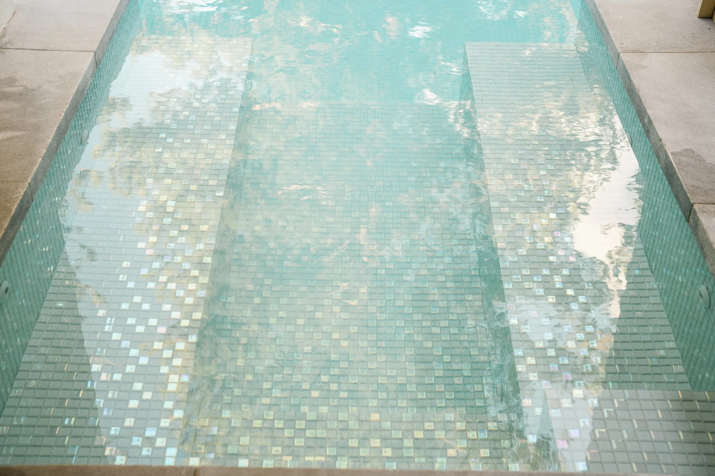 DSC04664.jpg