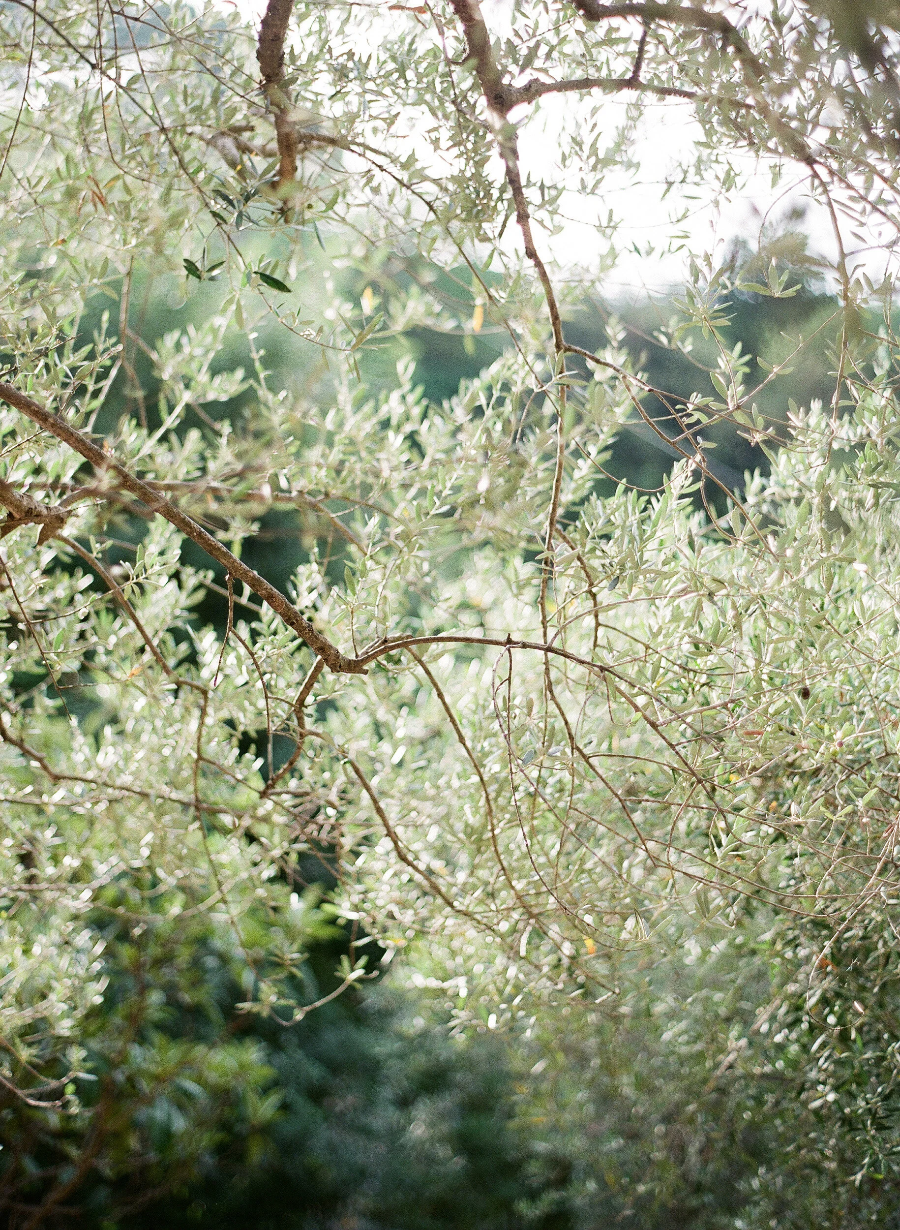 Ravello Wedding, Italy. Joy Proctor