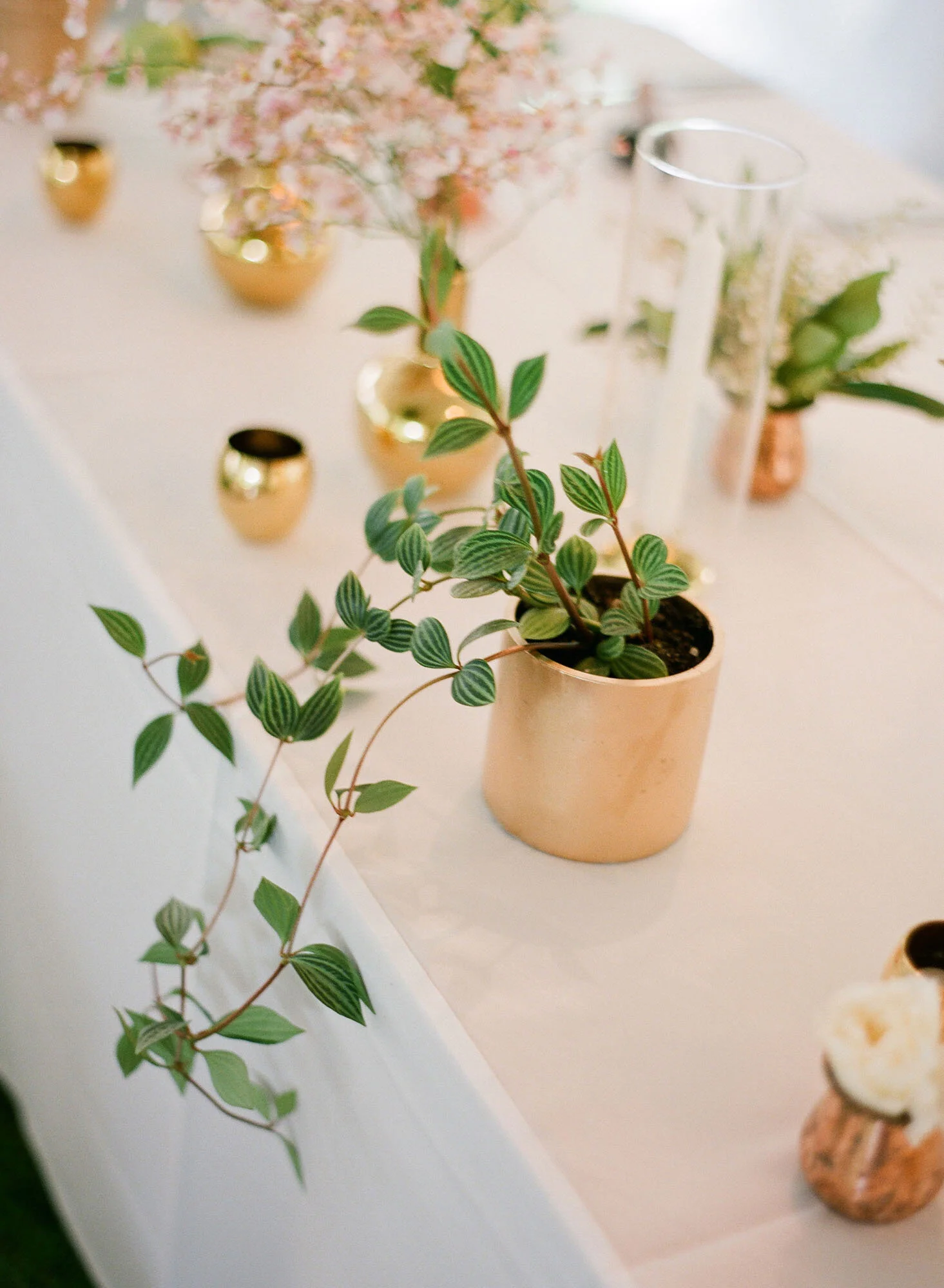 Natural Art Flowers Jemma Keech