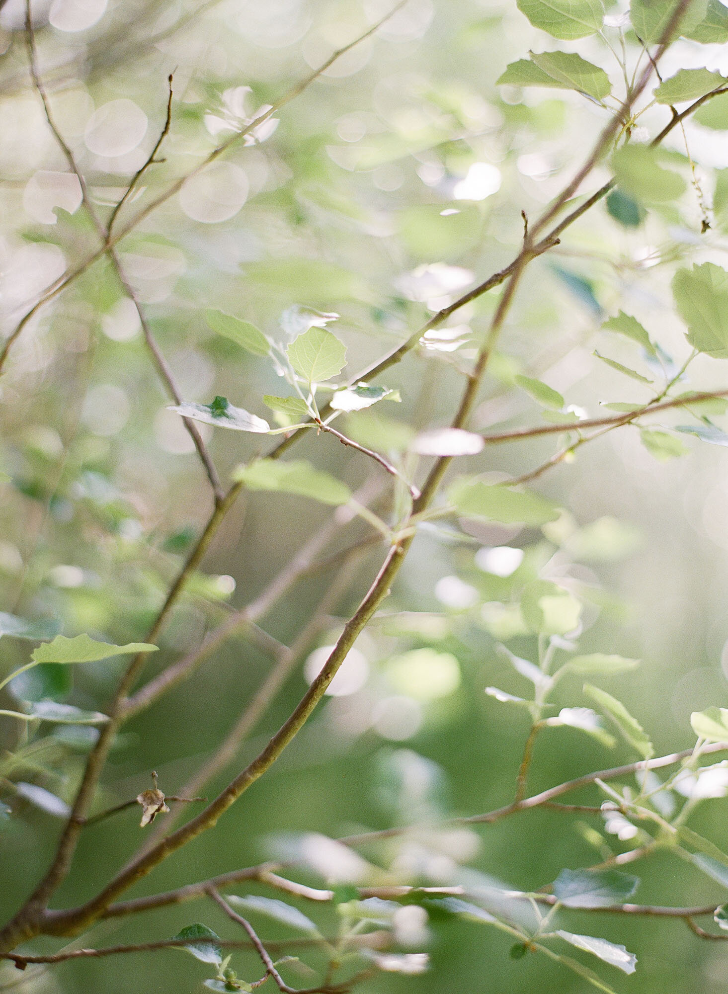 fine art wedding photographer Jemma Keech