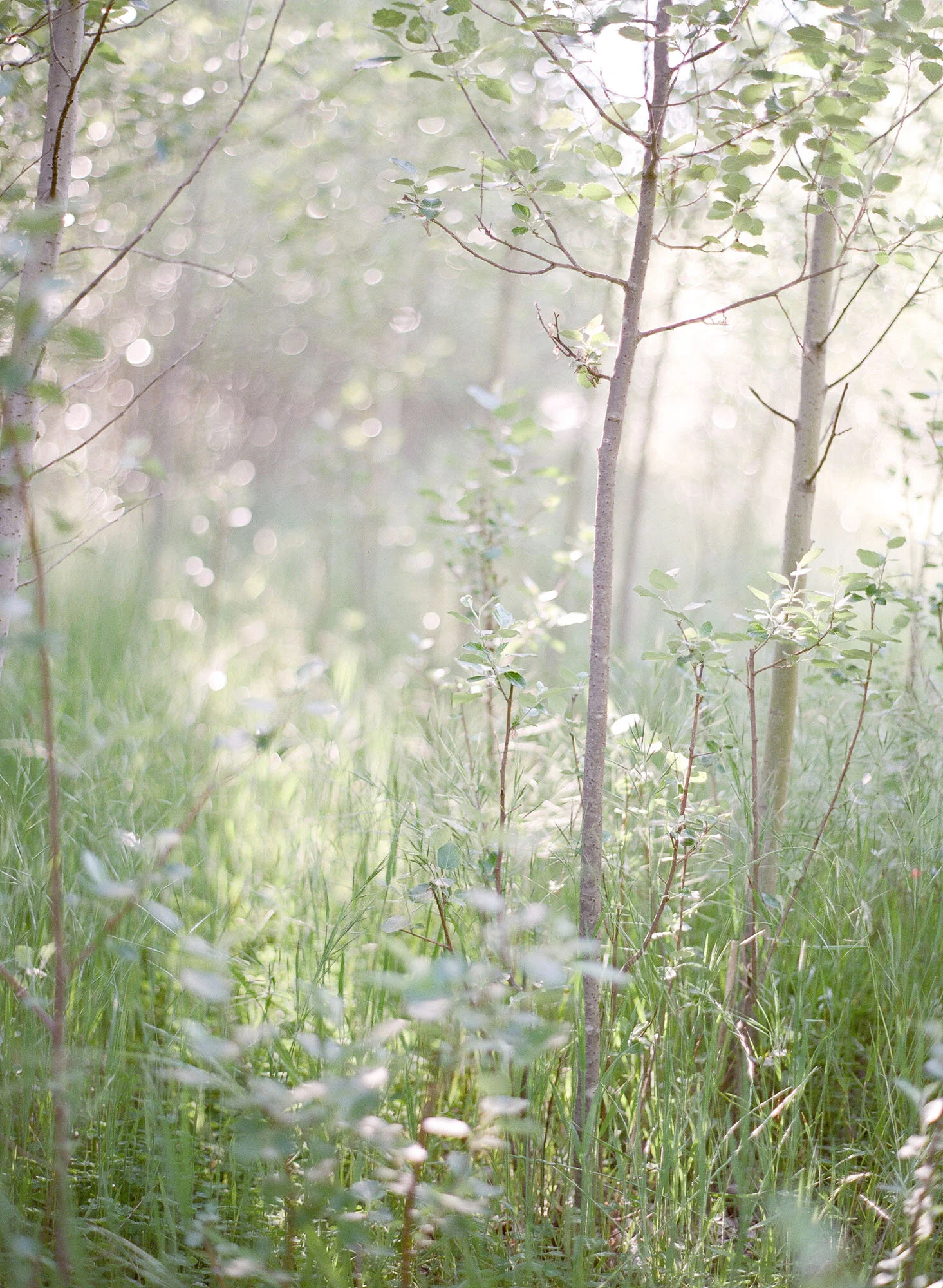 Perth film photographer Jemma Keech