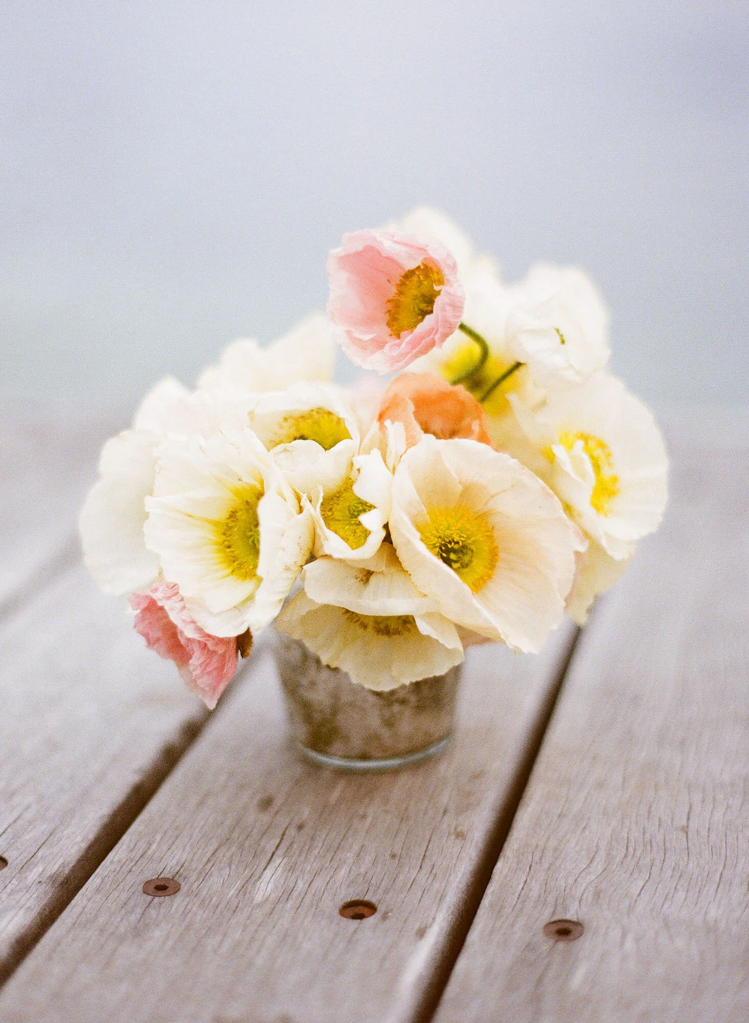 Sydney wedding photographer jemma Keech