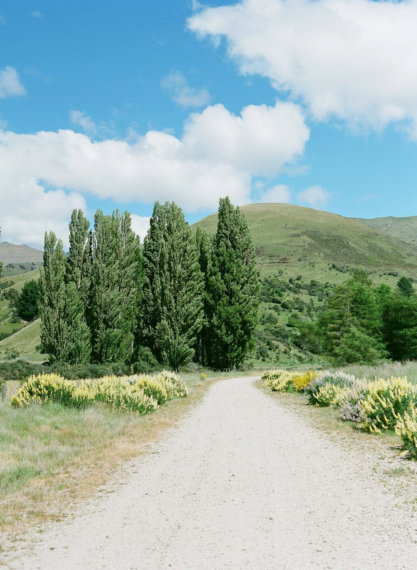 Lake Wanaka Wedding Jemma Keech