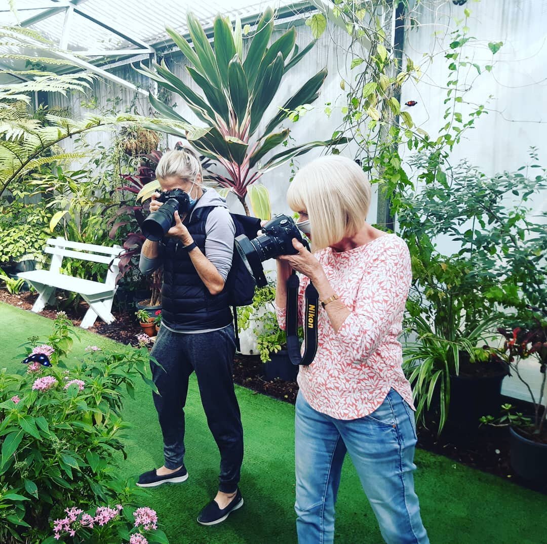 A photographer's paradise at the Butterfly House &hearts;️⚘🦋

#gcbutterflies #gardens #plants #goldcoast #puregoldcoast #nature #photos #instagram #photography #pictures #upclose #macro #butterflies #butterfly #summer #gardens #butterfly #conservati