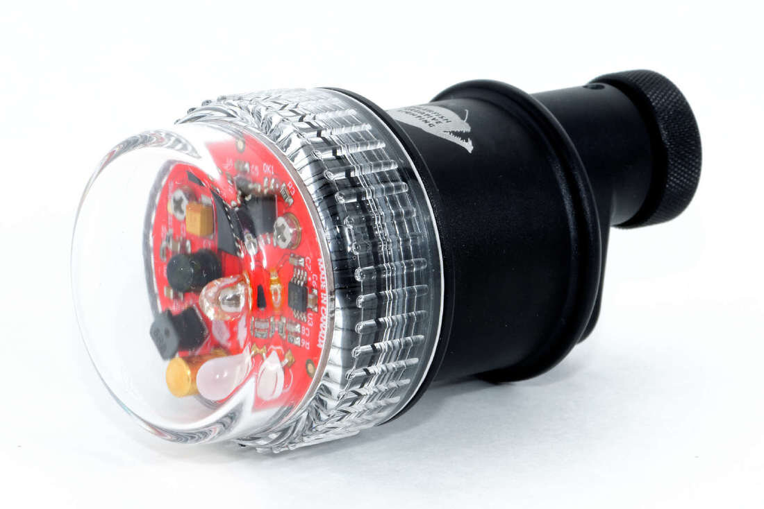 Anglerfish Remote Trigger V3.0.jpg