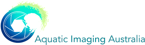 Aquatic Imaging Australia