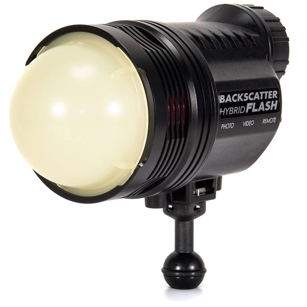 Backscatter Hybrid Flash Ambient Blue Diffuser Package — Aquatic ...