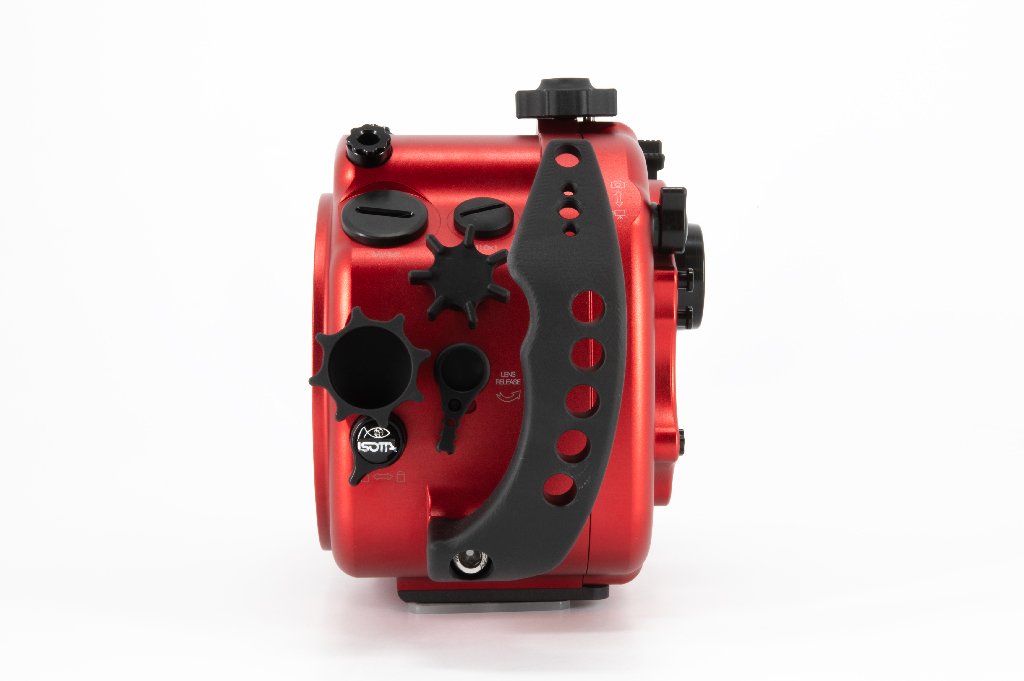 R6II-07.jpg
