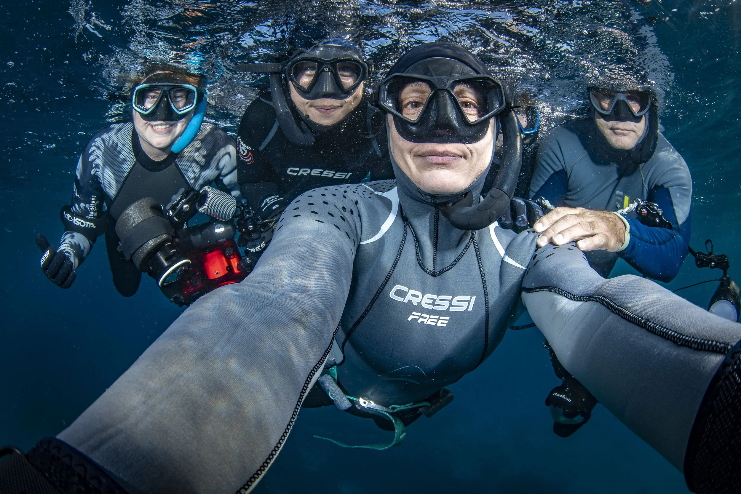 Lady Elliot Island