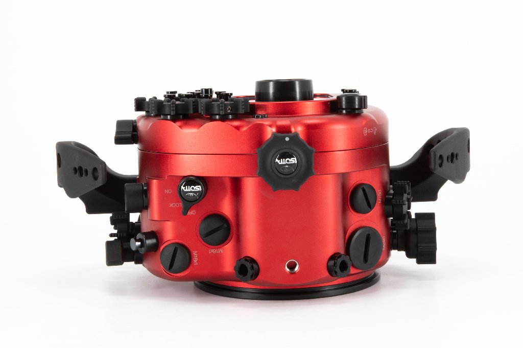 R6II-12.jpg