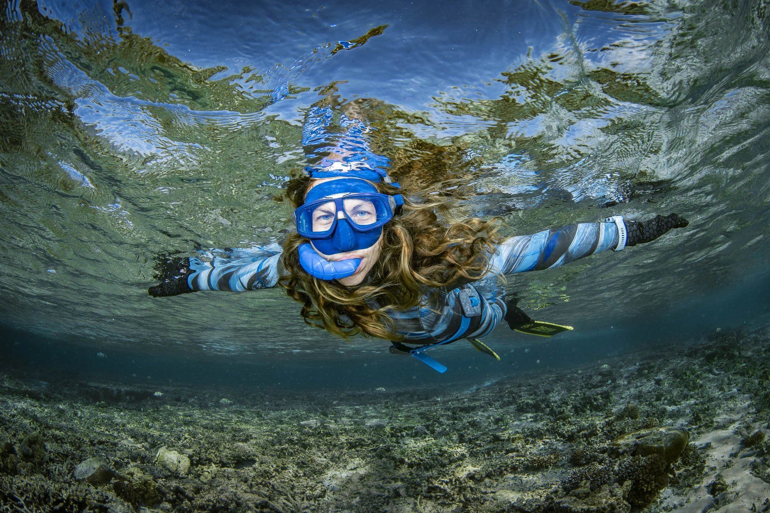 Lady Elliot Island