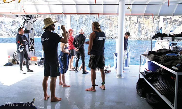 Belle-Amie-dive-deck_opt.jpg