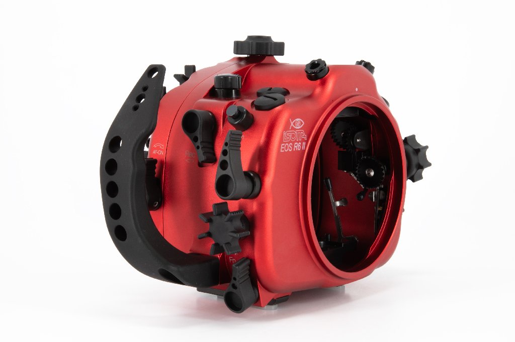 R6II-02.jpg