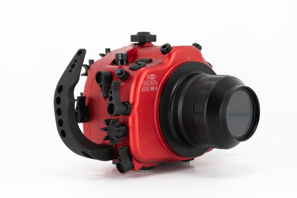 R6II-14.jpg