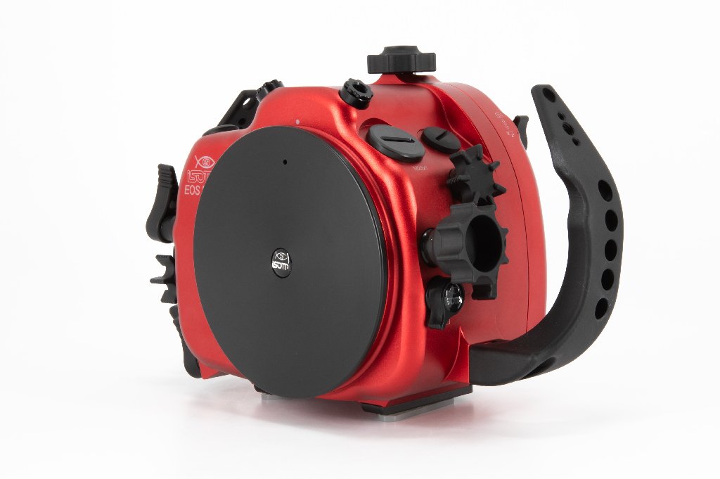 R6II-09.jpg