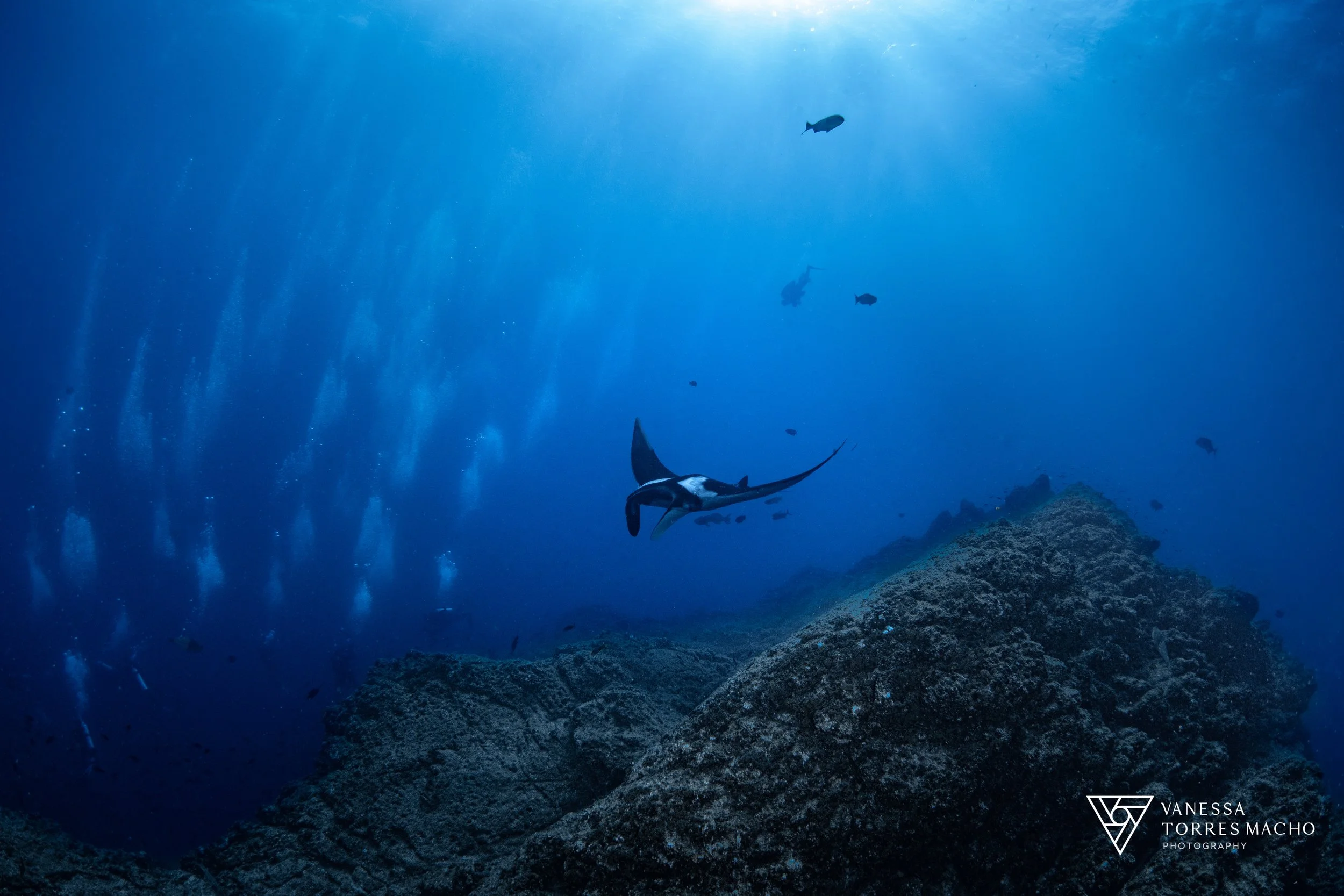 Manta' Cabo Pearce 2.JPG