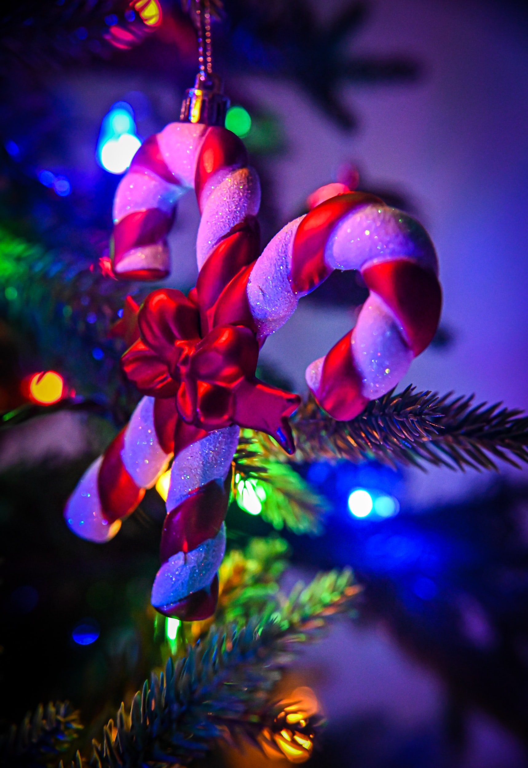 JINGLE BELL BALL