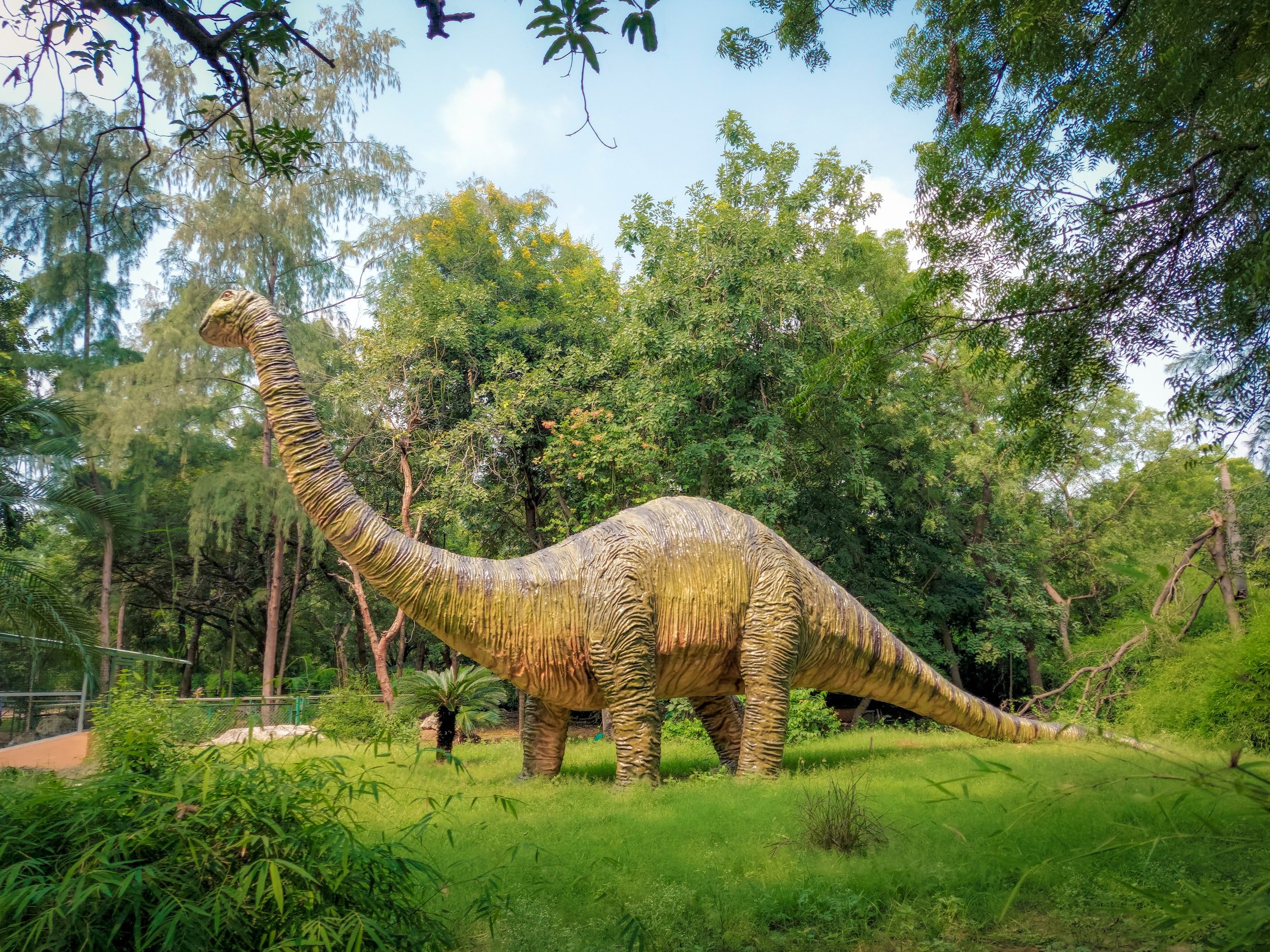 DINOSAURS