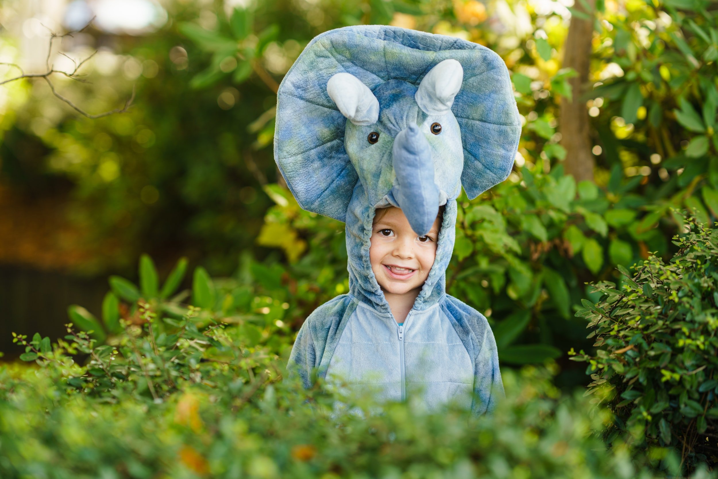 JUNGLE SAFARI