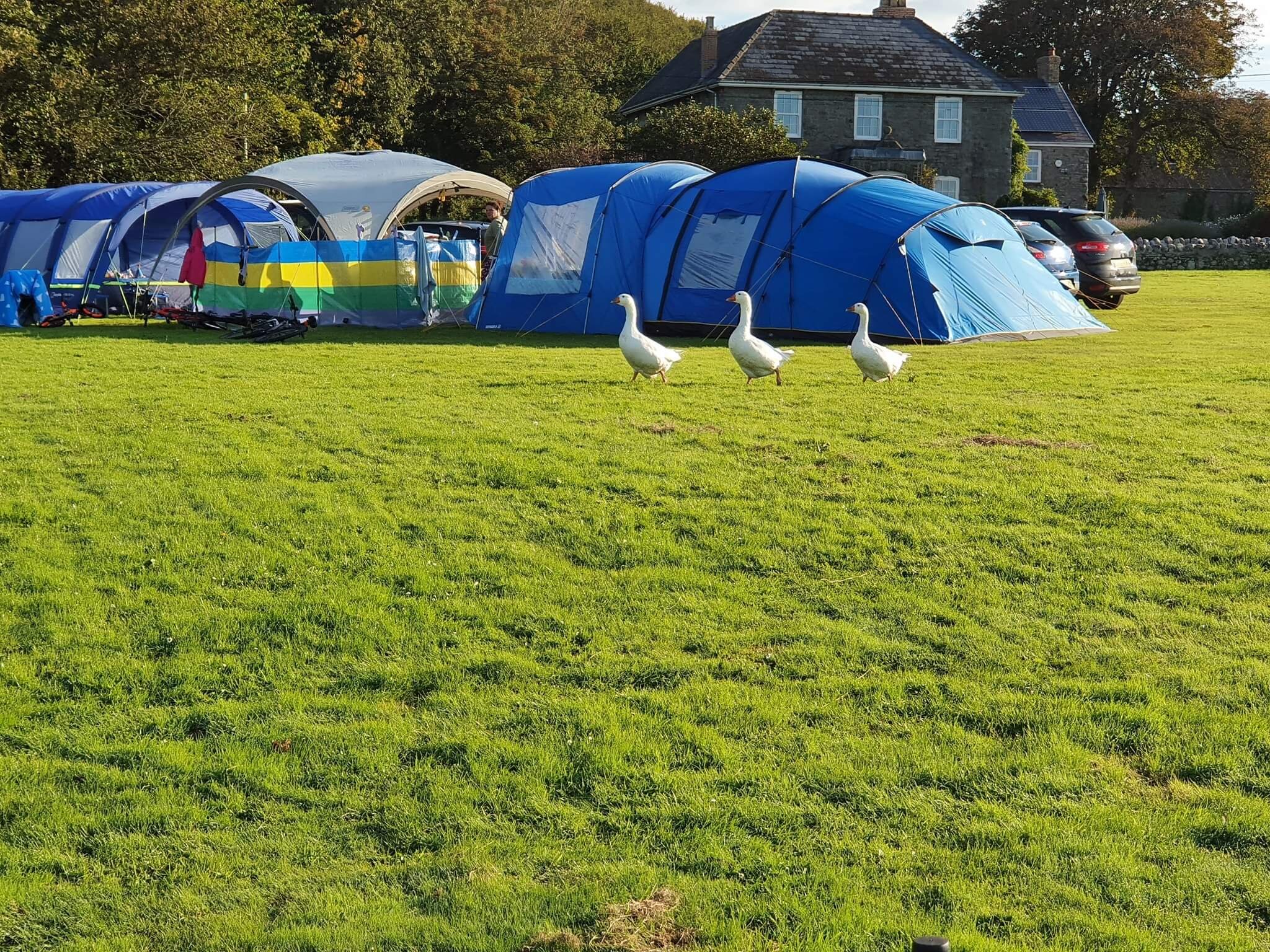 Coastal Camping Wales, Campsites With fire Pits, Carmarthen Bay Camping, Seasonal Touring Pitches, Camping Wales 