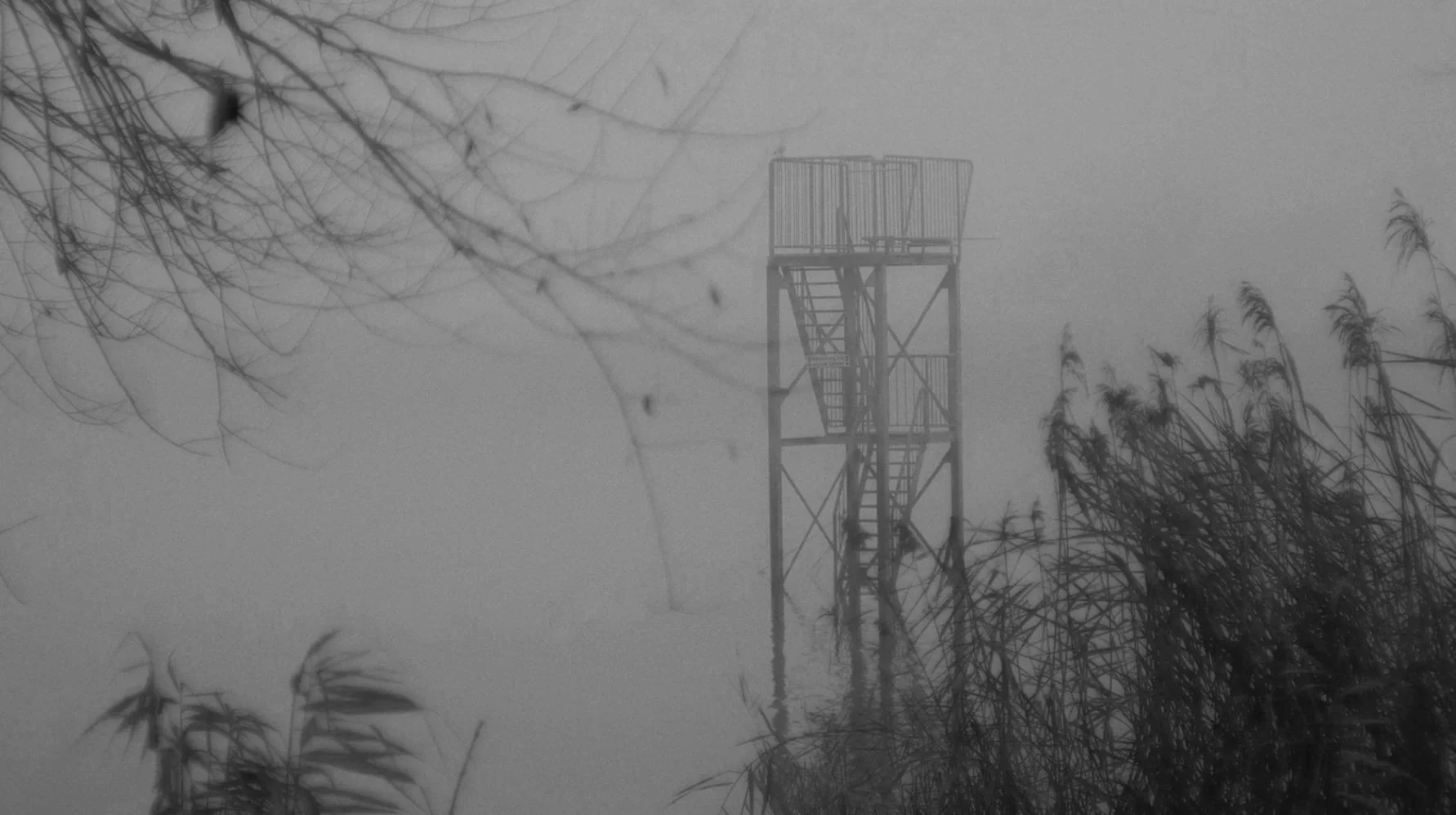 Ein nebliger Tag mit einem Aussichtsturm im Hintergrund, umgeben von Gräsern und Ästen, alles in Grautönen.