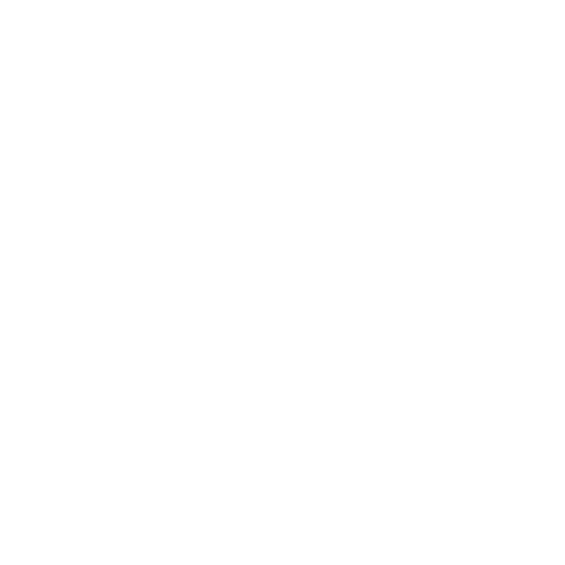 The Bless Network