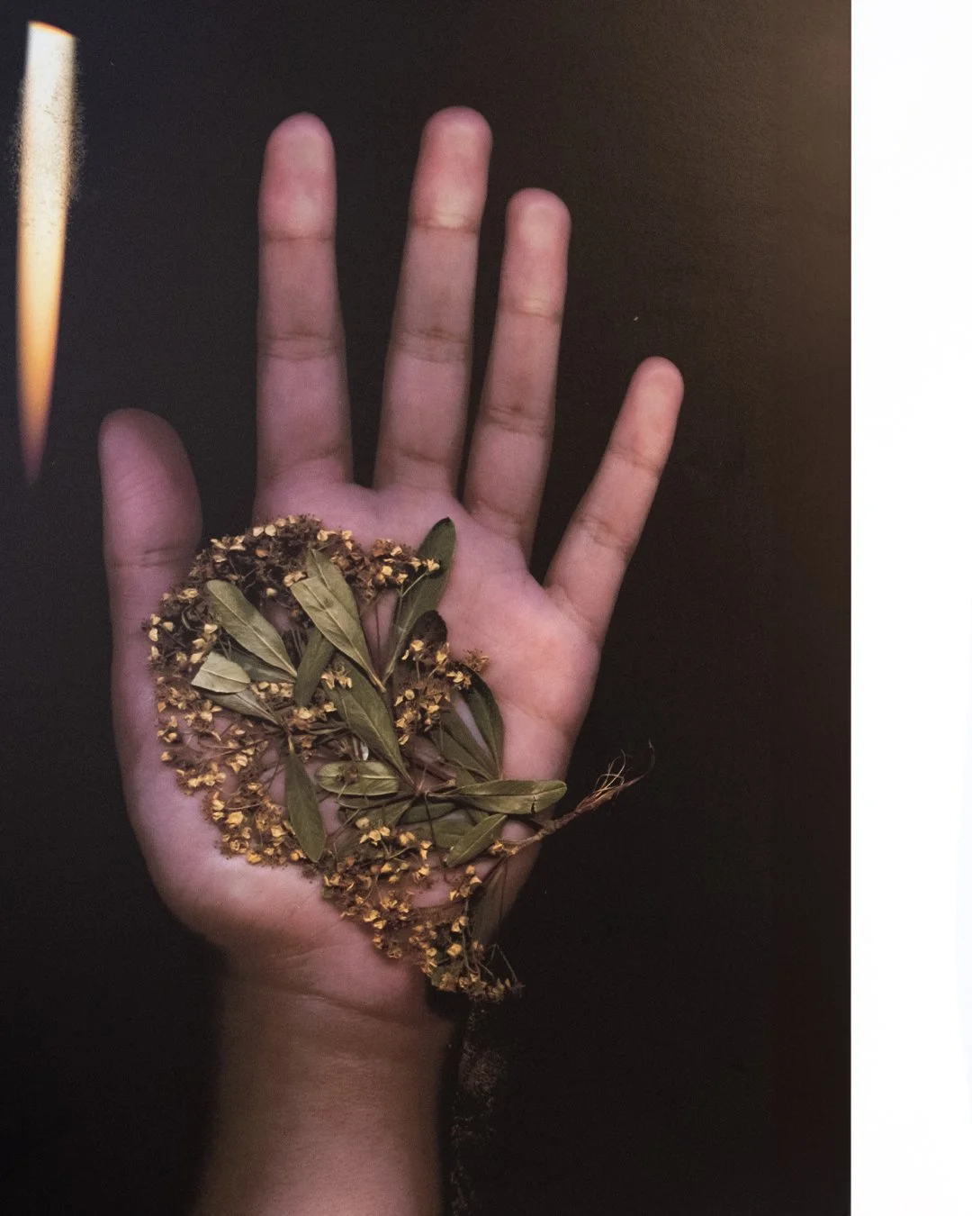 Don&rsquo;t miss the chance to see our current exhibition of work from our new in-house Photography Explorers group for 12-16 year olds in Our Community Gallery and Young Artists spaces, showing until the end of March. The show represents the extraor