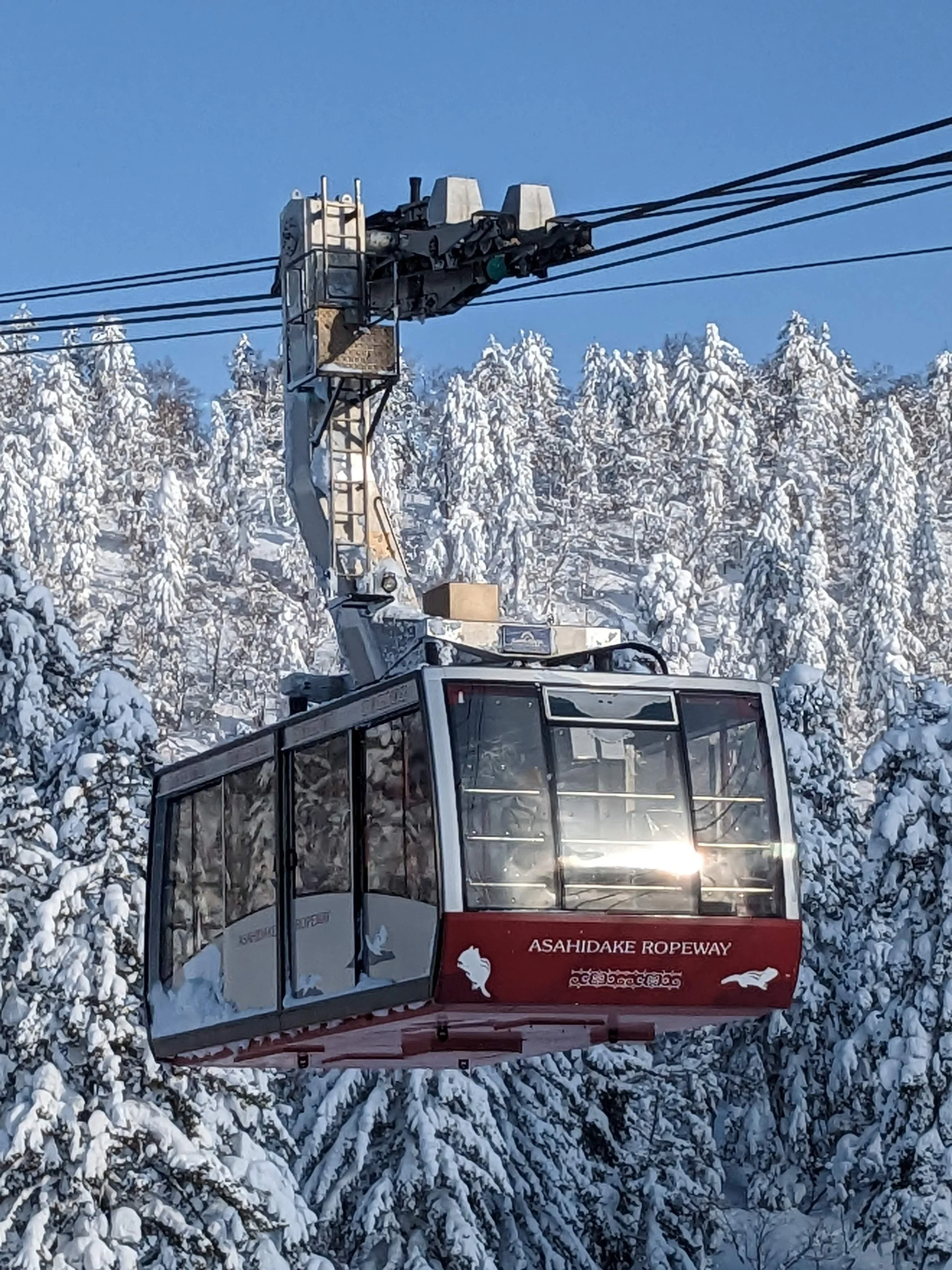 Backcountry JAPOW 2.jpg (Copy)