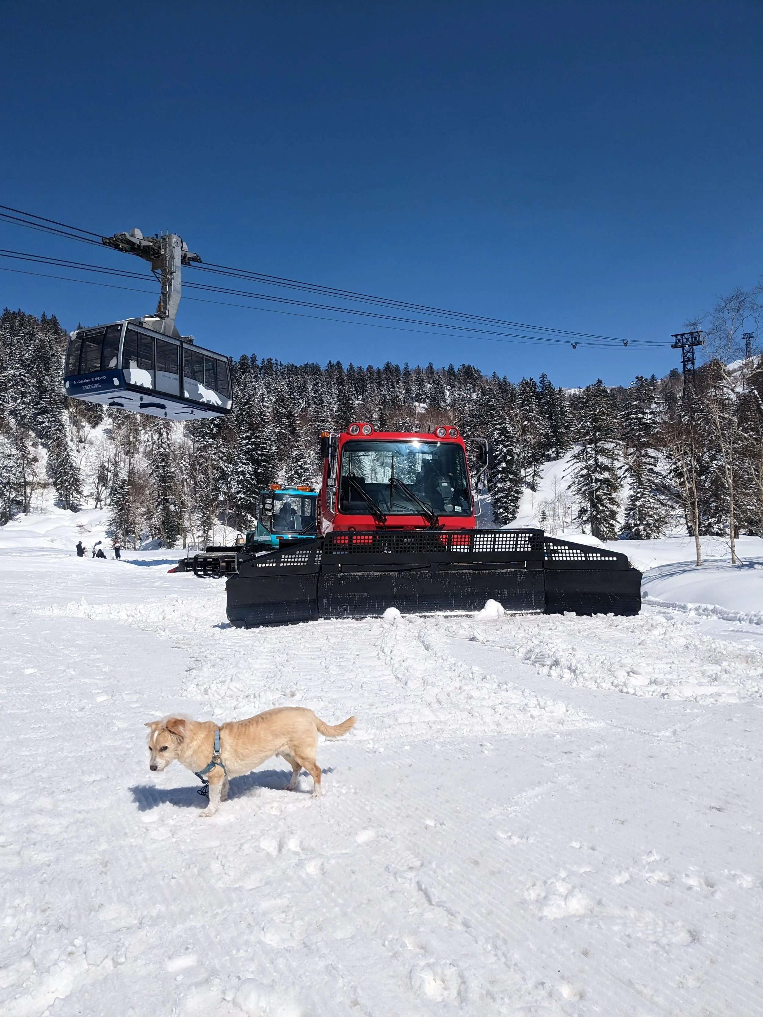 Asahidake Hokkaido 6.jpg