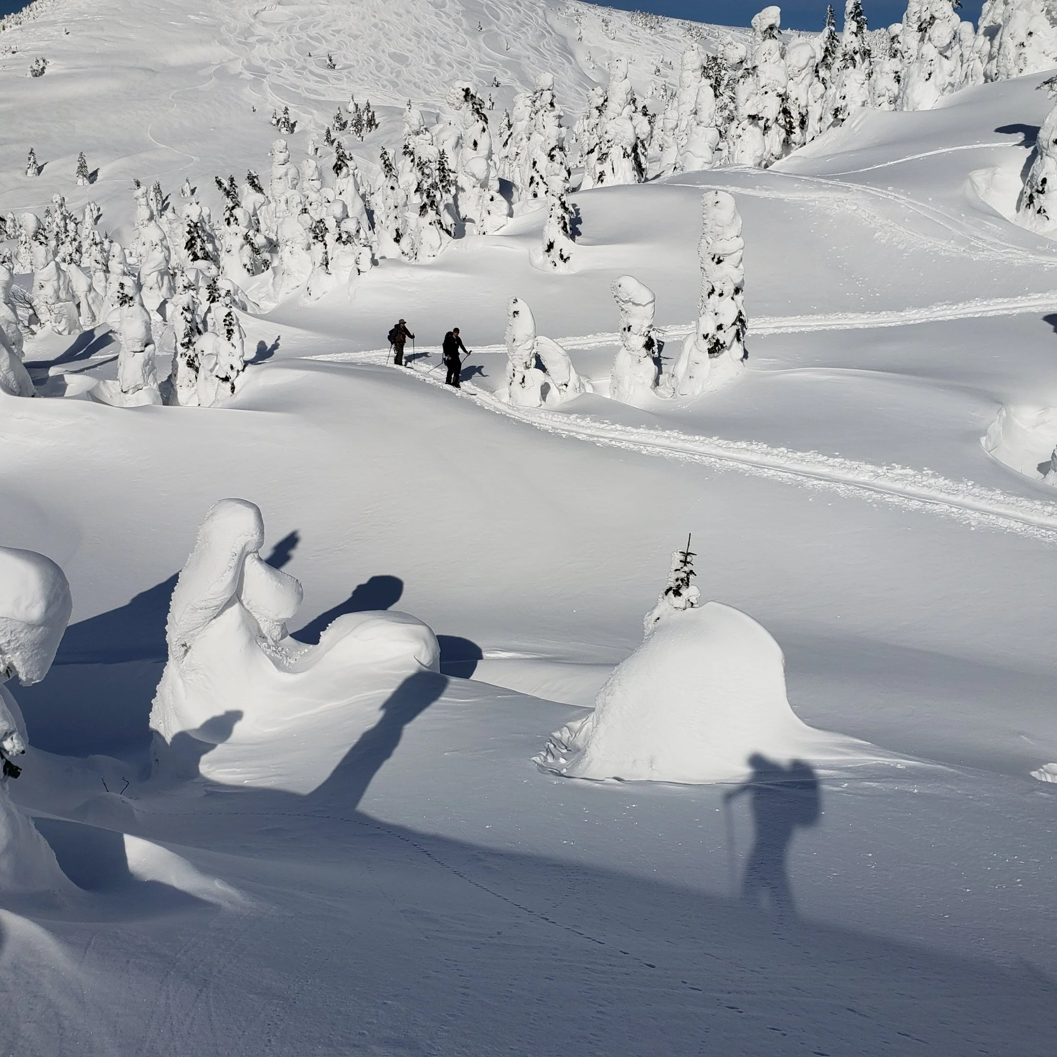 American Avalanche Institute logo — AAI Professional Level 1 avalanche certification, Mick Hultz, Asobi Master® Hokkaido Japan