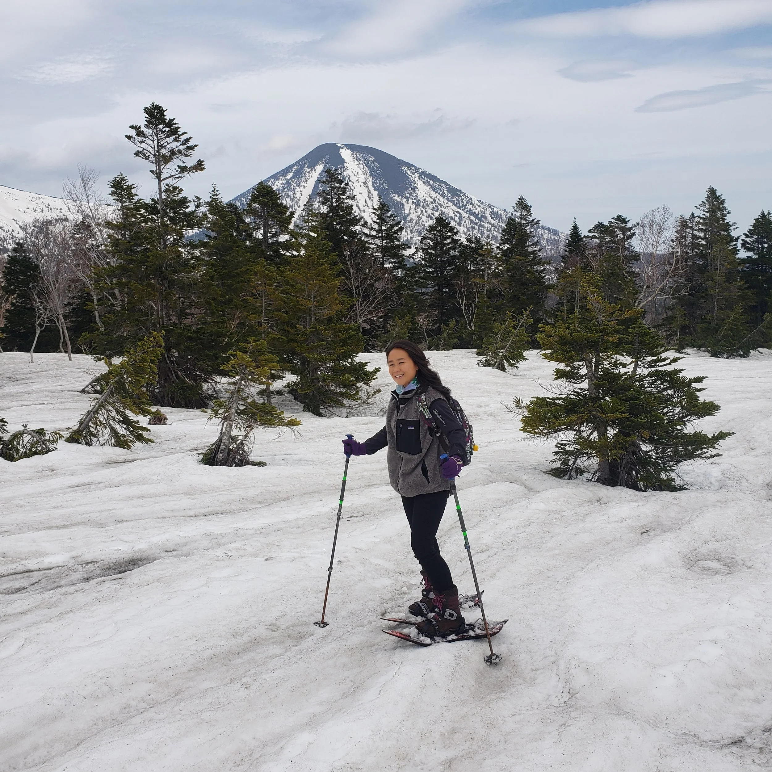 Hokkaido Snowshoe 2.jpg