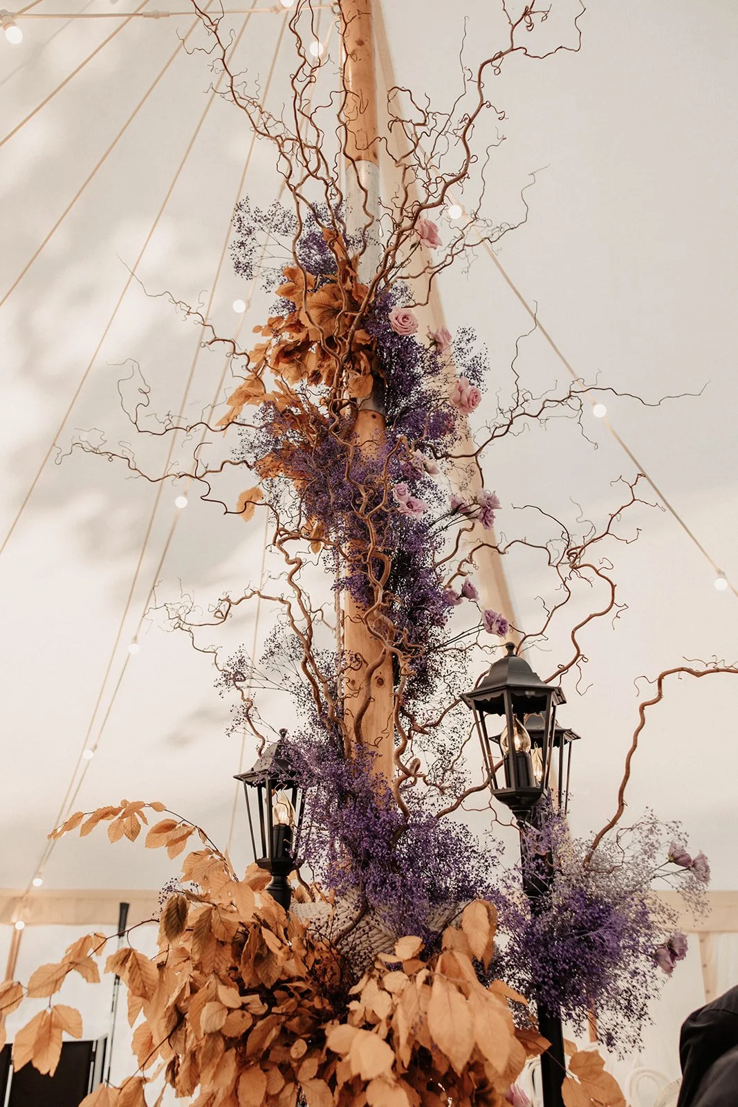 Reece & Emily's Wilderness Reserve Wedding-1609.jpg