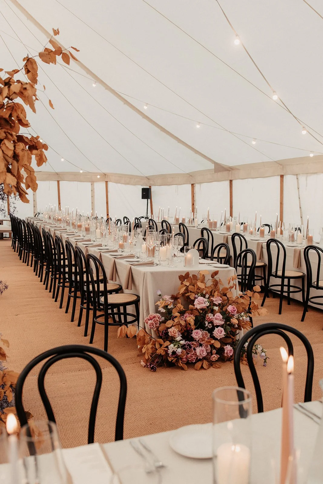 Reece & Emily's Wilderness Reserve Wedding-1600.jpg